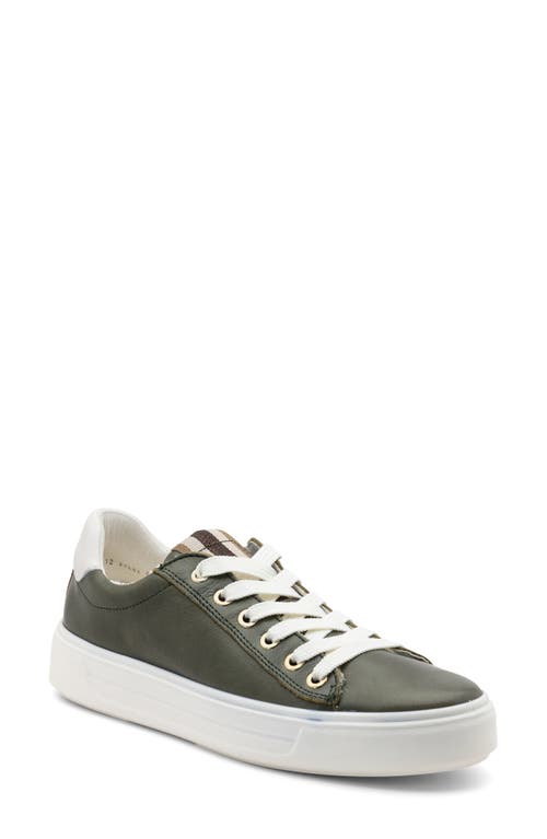 ara Camden Sneaker in Thyme Calf at Nordstrom, Size 10.5