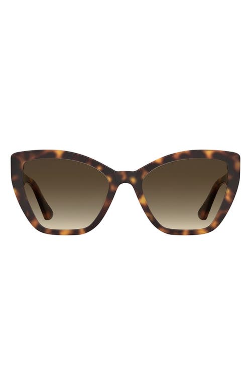 Moschino 55mm Gradient Cat Eye Sunglasses in Havana at Nordstrom