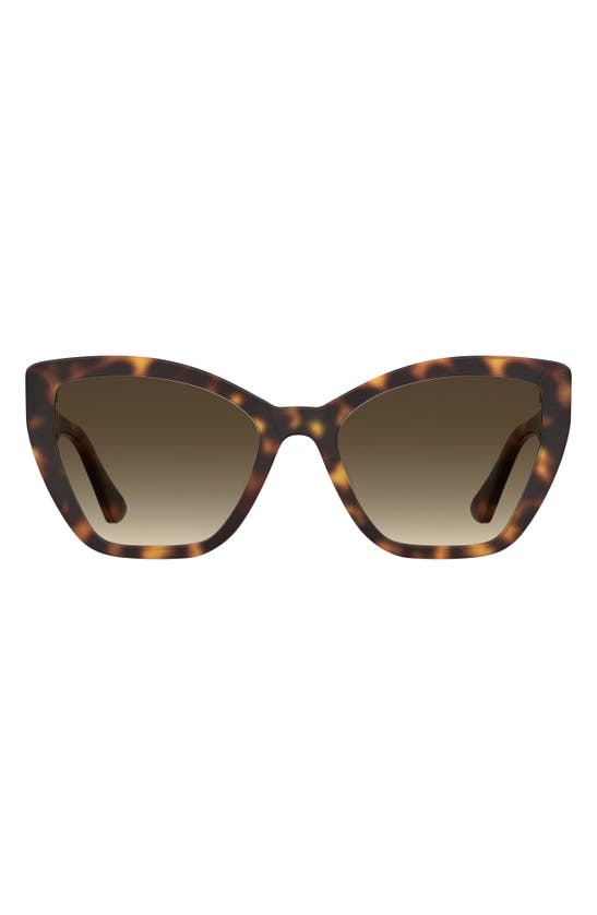 Moschino 55mm Gradient Cat Eye Sunglasses In Havana