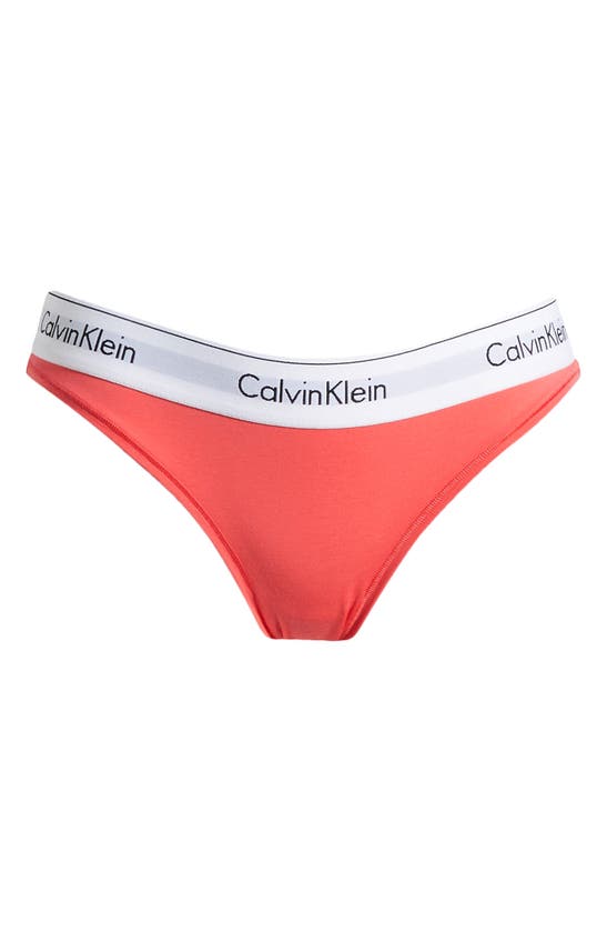 Shop Calvin Klein Modern Cotton Bikini In Calypso Coral