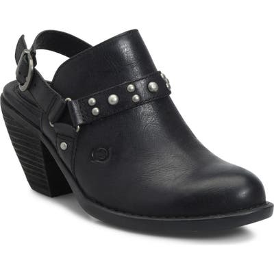 B?rn Pindo Mule, Black