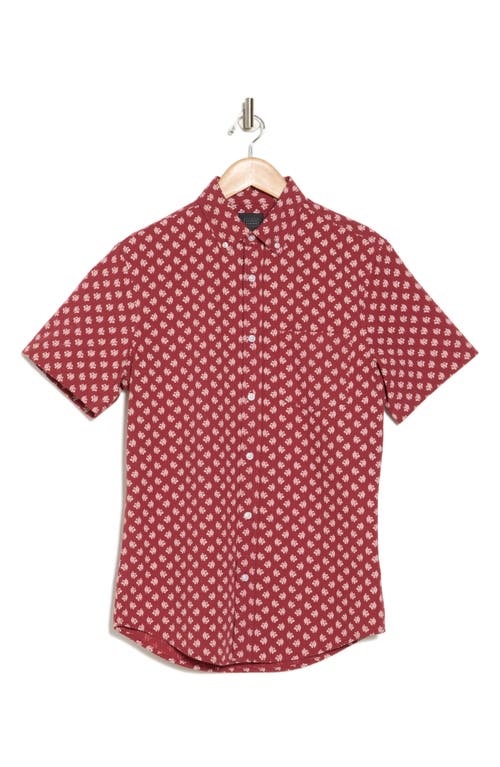 14th & Union Seersucker Short Sleeve Lace Foulard Button-up Shirt In Red Russet Lace Foulard