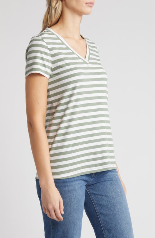 Shop Caslonr Caslon(r) Stretch Cotton Blend V-neck T-shirt In Green Dune- White Charm Stripe