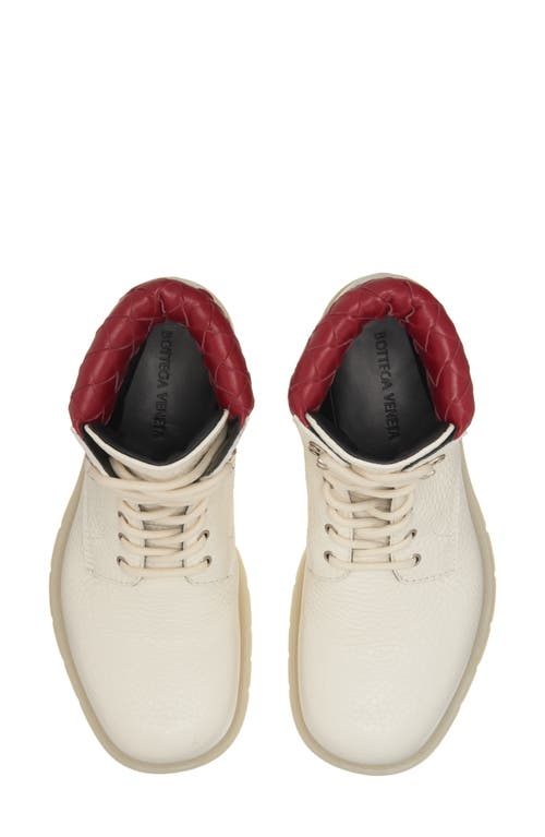 Bottega Veneta Haddock Lace-up Ankle Boot In 8059 White/deep Red