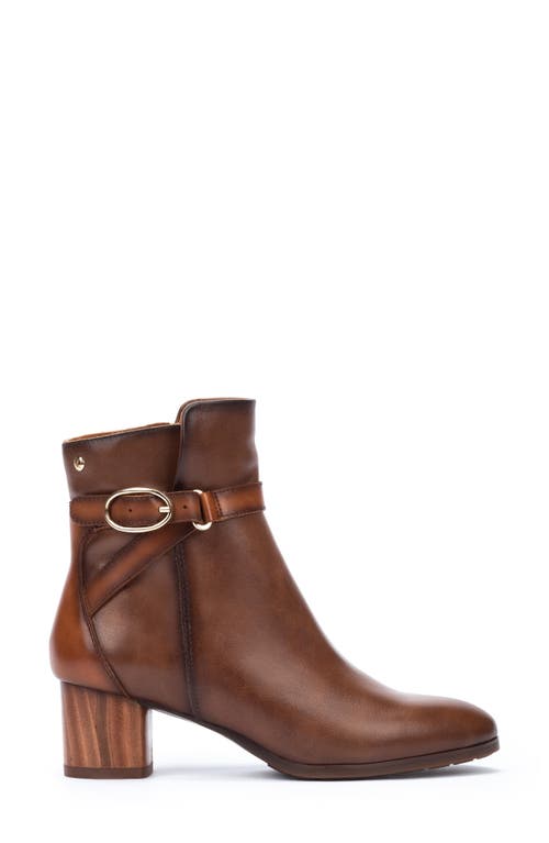 Shop Pikolinos Calafat Buckle Bootie In Topo