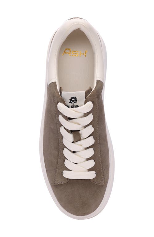 Shop Ash Moby Be Kind Platform Sneaker In Mud/off-white