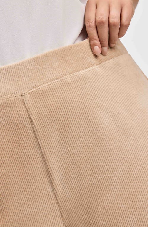 Foxcroft Caden Plush Corduroy Pants In Khaki