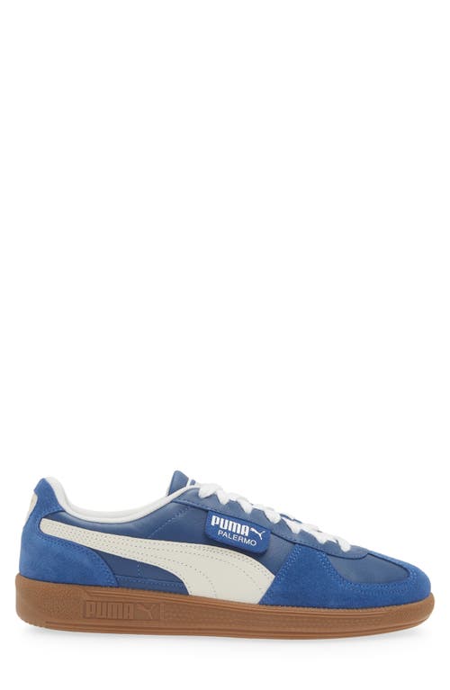 Shop Puma Palermo Sneaker In Clyde Royal- White-gray