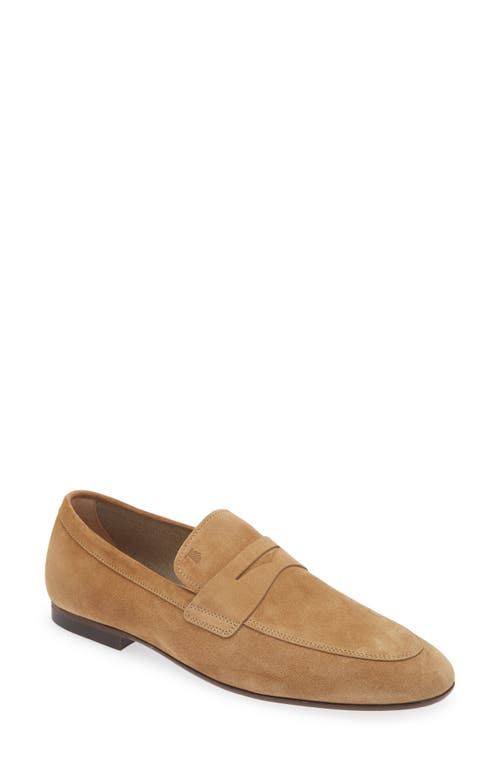 Tod's Apron Toe Loafer Biscotto at Nordstrom,