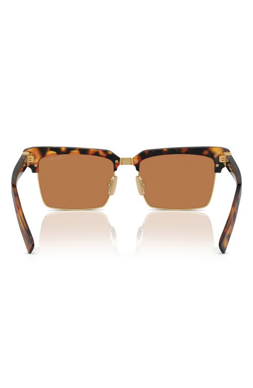 Miu Miu 54mm Square Sunglasses In Havana