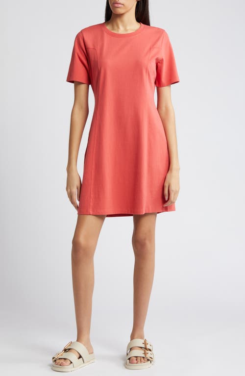 Treasure & Bond Seamed Organic Cotton T-Shirt Dress at Nordstrom,