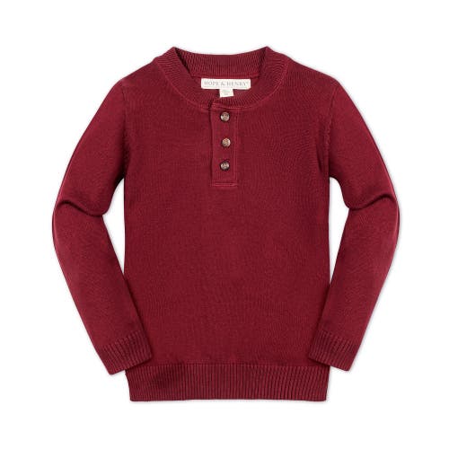 Hope & Henry Baby Boys' Organic Sweater Henley With Elbow Patches, Infant In Oxblood