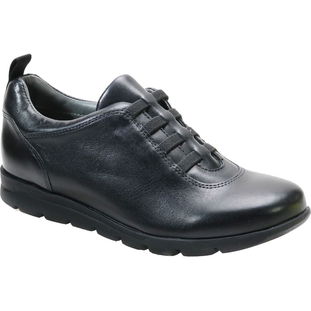 David Tate Bell Sneaker In Black Nappa