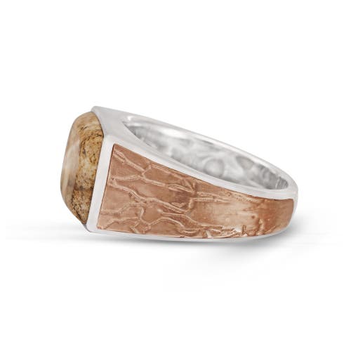 Shop Luvmyjewelry Light Brown Picasso Jasper Sterling Silver Men Signet Ring