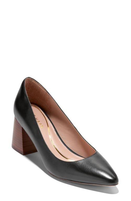 Shop Cole Haan Cassandra Pointed Toe Pump In Black Leather/brown Stack