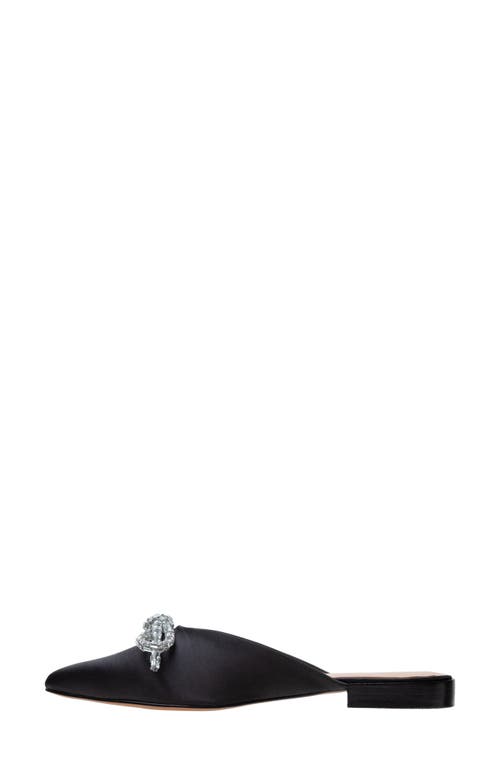 Linea Paolo Astrid Pointed Toe Mule In Black