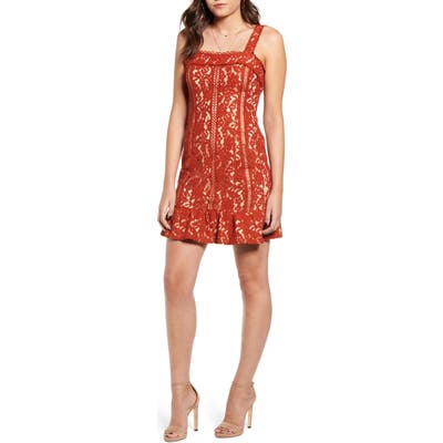 Endless Rose Lace Body-Con Dress, Brown