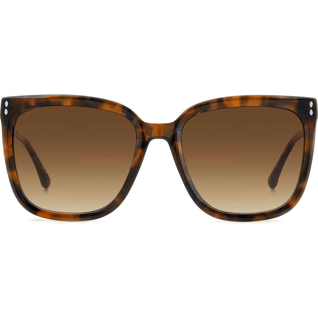 Isabel Marant Women's Havana & Brown Gradient Thea Square Sunglasses In Havana/brown Gradient