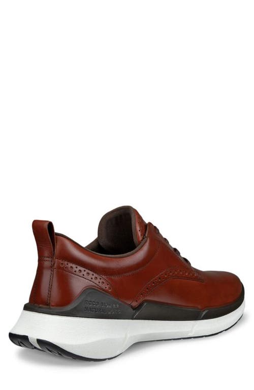 Shop Ecco Biom® 2.2 Sneaker In Cognac