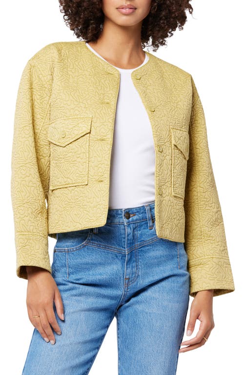 Joie Brooke Quilted Cotton Jacket in Olive Oil