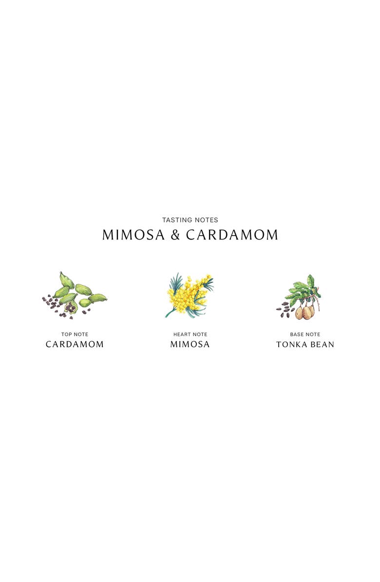Jo Malone London<sup>™</sup> Mimosa & Cardamom Cologne, Alternate, color, 