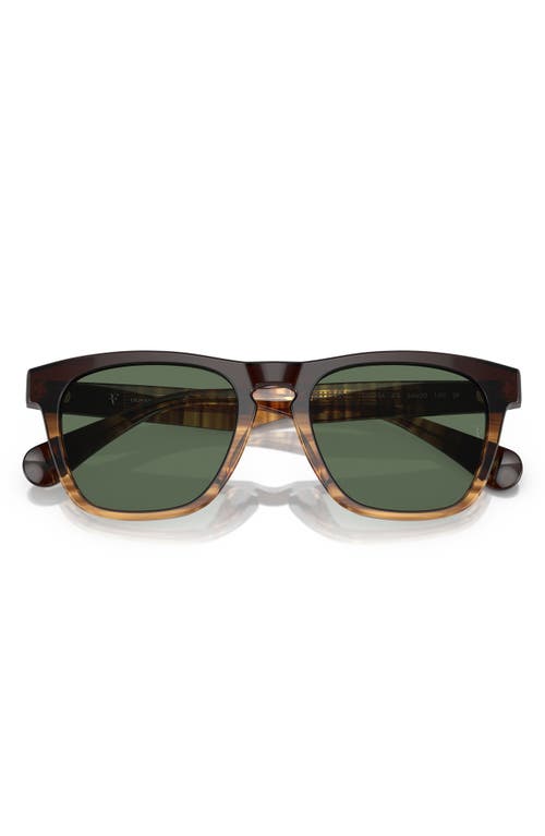 Oliver Peoples x Roger Federer R-3 51mm Polarized Pillow Sunglasses in Cortado/G-15 Polar at Nordstrom