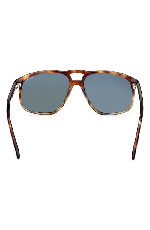 Shop Tom Ford 58mm Navigator Sunglasses In Havana/green