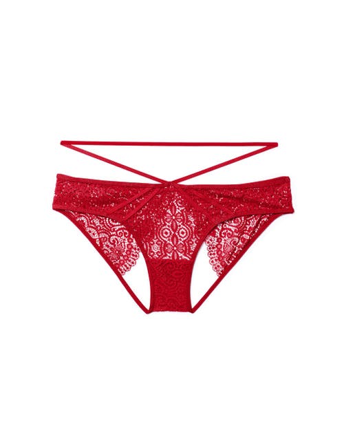 Shop Adore Me Jenni Bikini Panties In Dark Red