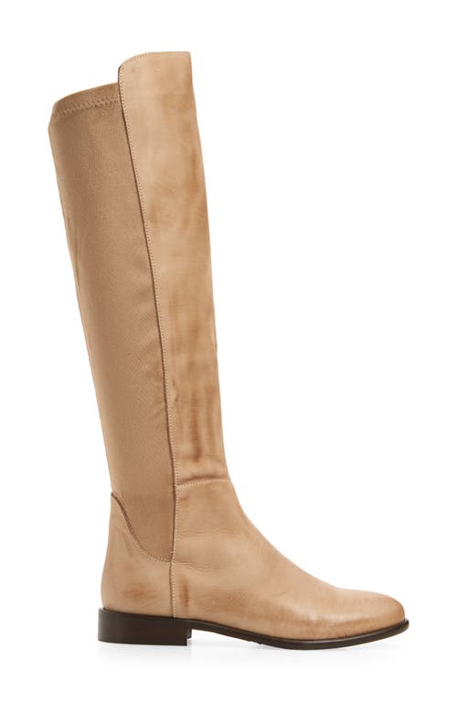 Cordani Bethany Over The Knee Boot In Taupe Nubuck
