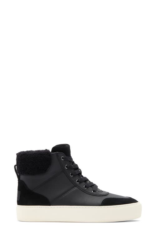 UGG UGG® CAKEWALK UGGPLUSH™ HIGH TOP SNEAKER 