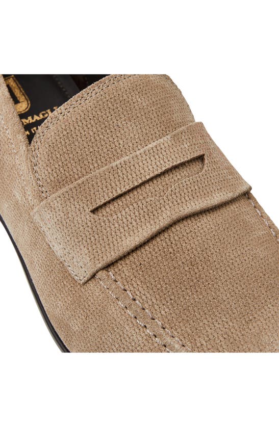 Shop Bruno Magli Lauro Penny Loafer In Taupe Suede