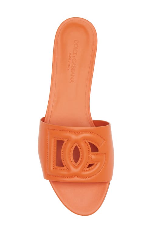 Dolce & Gabbana Slide Sandals In Orange Leather With Logo In Orange
