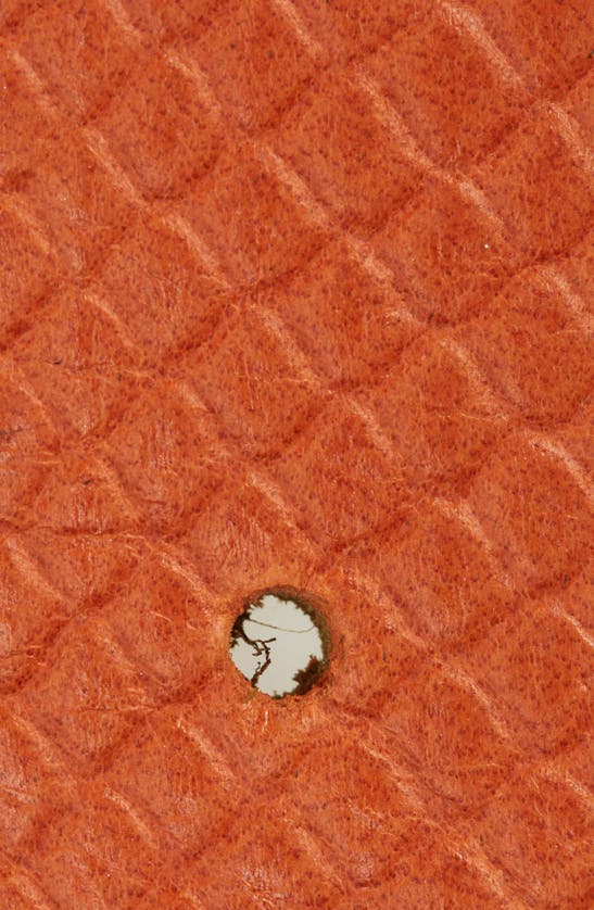 Shop Ada Iris Snake Embossed Leather Belt In Orange Python