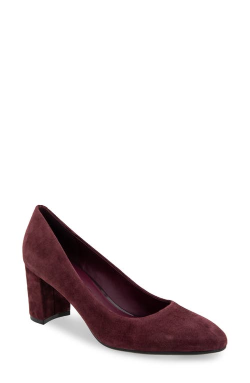 AEROSOLES AEROSOLES BETSY PUMP 