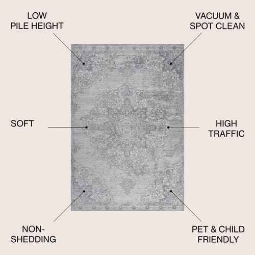 Jonathan Y Modern Persian Vintage Moroccan Medallion Area Rug In Light Gray