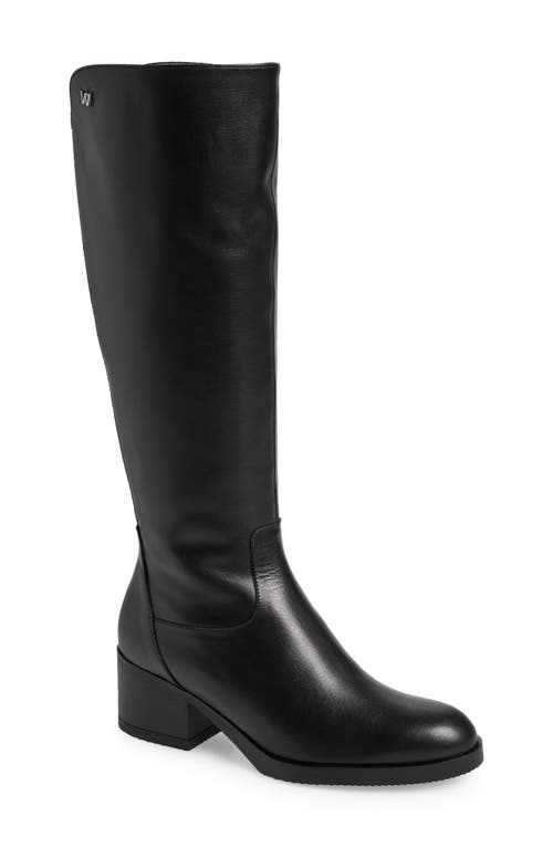 Shop Wonders Classic Knee High Boot In Black Leather