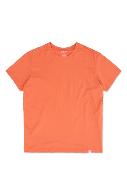 Druthers Men's Organic Cotton T-Shirt in Burnt Sienna