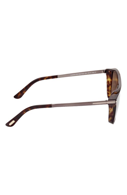 Shop Tom Ford Lionel 55mm Square Sunglasses In Dark Havana/roviex Gunmental