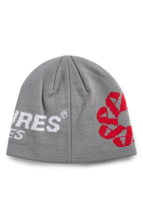 Shop Pleasures Service Skully Beanie In Grey