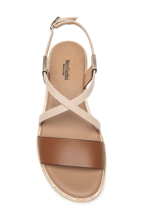 Shop Nerogiardini Ankle Strap Sandal In Brown