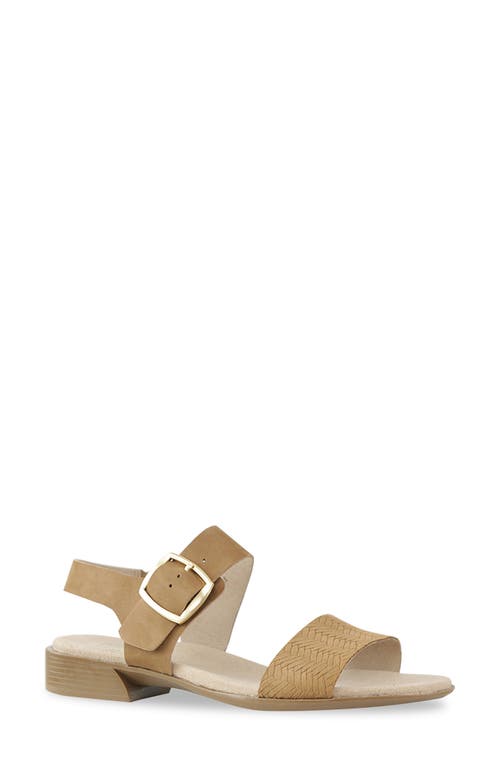Munro Cleo Sandal - Multiple Widths Available Medium Tan at Nordstrom,