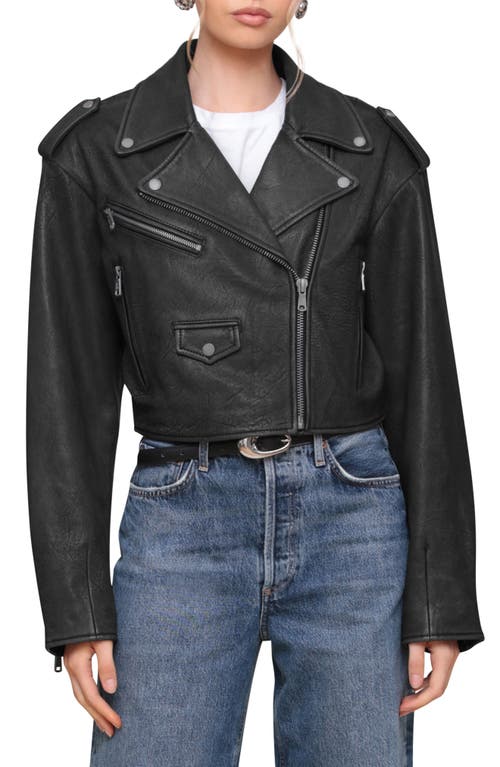 Shop Avec Les Filles Cropped Leather Biker Jacket In Black