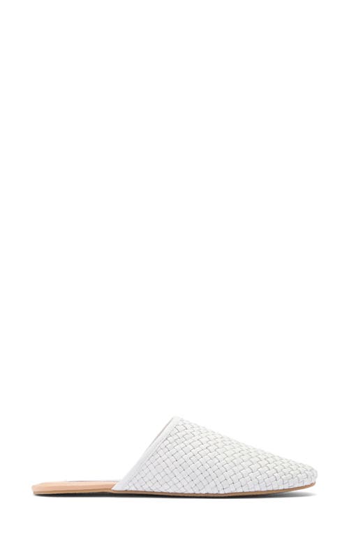 Shop Steve Madden Sallie Mule In Bone Leather