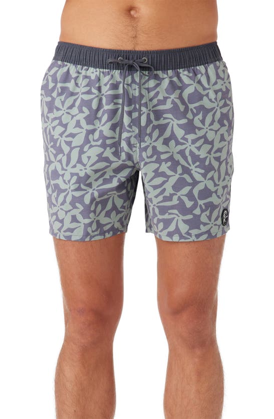 O'neill Og Volley Swim Trunks In Seagrass