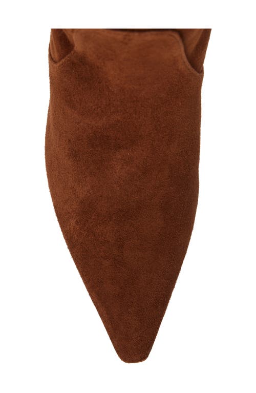 Shop Stuart Weitzman Naomi 75 Tall Boot In Deep Coffee Suede