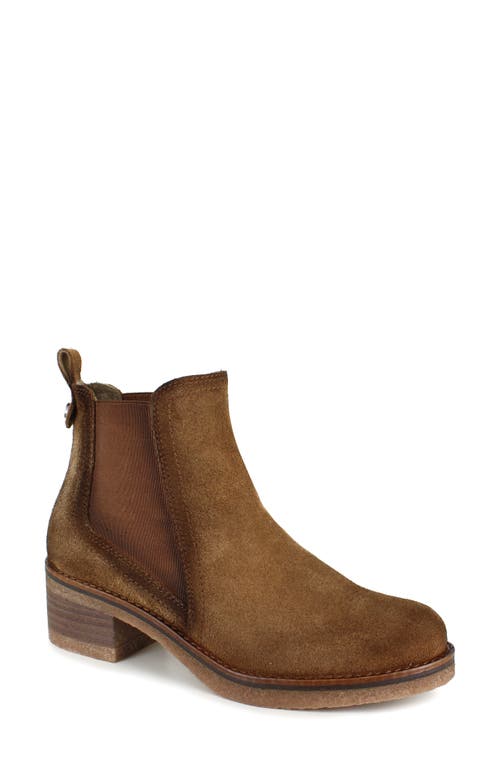 Shop National Comfort Camillah Chelsea Boot In Brown