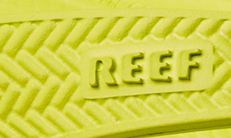 Shop Reef Water Court Flip Flop In Lime