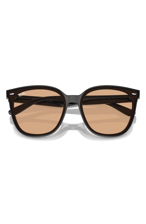 Ray Ban 66mm Oversize Irregular Sunglasses In Black/brown