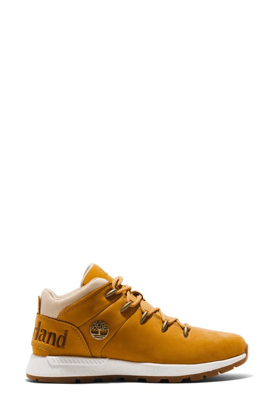 Timberland Sprint Trekker Waterproof Mid Sneaker In Wheat Nubuck