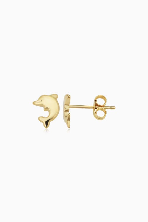 Shop Oradina 14k Yellow Gold Make A Splash Studs